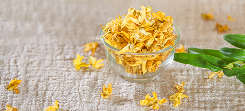 安徽霍山：“石斛之乡”太平畈生态发展之路